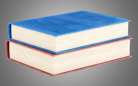 two books isolated on gray background. 3d illustrationの写真素材