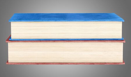 two books isolated on gray background. 3d illustrationの写真素材