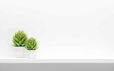 Shelf on white wall with green potted plants mock up.の写真素材
