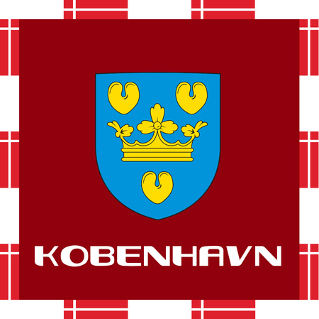 National ensigns of Denmark - Copenhagenのイラスト素材