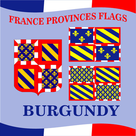 Flag of French province Burgundyのイラスト素材