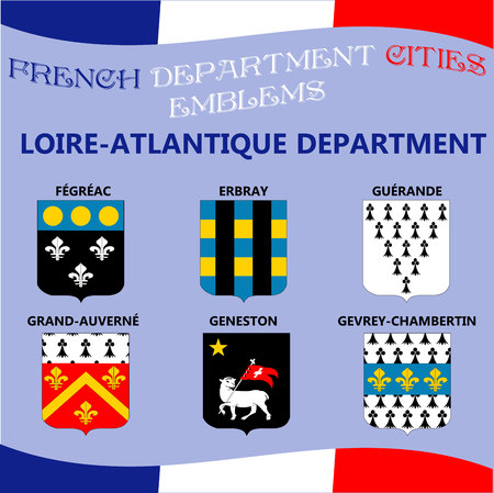 Flags and emblems of French department cities.のイラスト素材