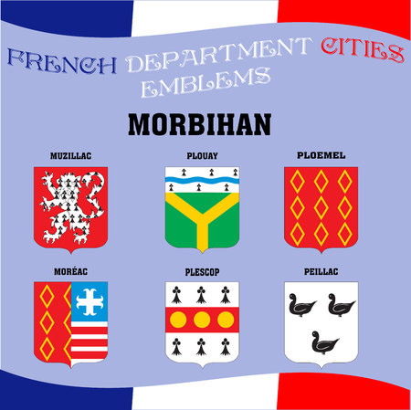 Flags and emblems of French department cities.のイラスト素材