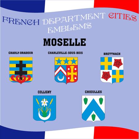 Flags and emblems of French department cities.のイラスト素材