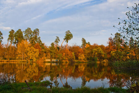 yellow autumn on the forest lakeの写真素材