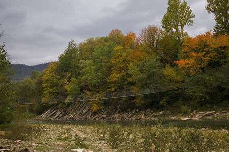autumn landscape with the mountain river and the woodの写真素材