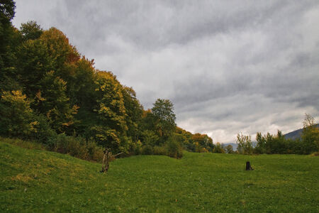 autumn forest on the mountain under cloudy skyの写真素材