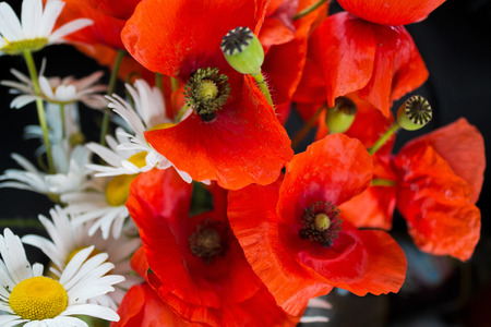 bouquet with wild poppies and daisiesの写真素材