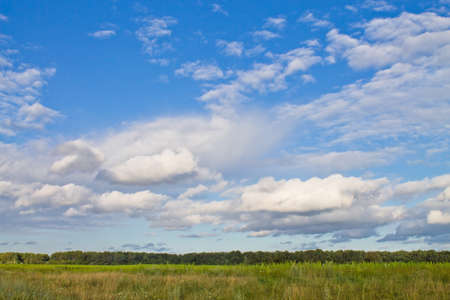 green meadow and blue sky with beautiful cloudsの写真素材
