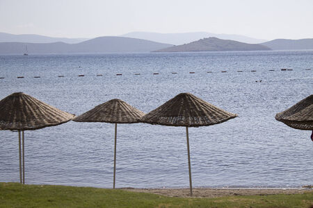 beach umbrellas on the sea coastの写真素材