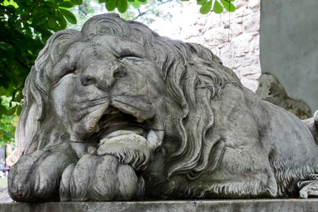 sleeping lion statue in Lviv, Ukraineの写真素材