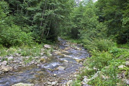 rapid mountain stream with waterfalls flowing through the forestの写真素材