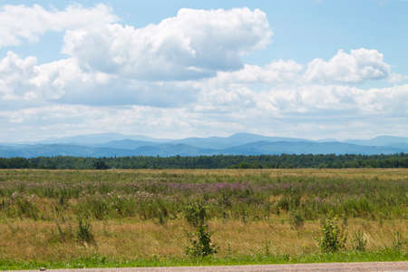 green meadow and blue sky with beautiful cloudsの写真素材