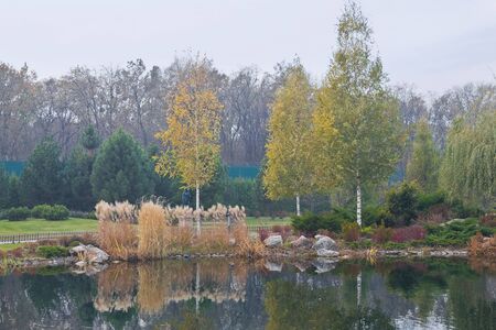 autumn trees in the pond in the parkの写真素材
