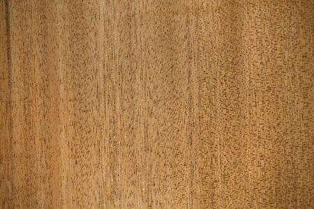 Light beige wood texture closeup horizontal positionの写真素材