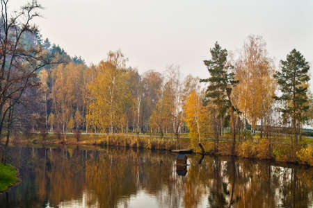 autumn trees in the pond in the parkの写真素材