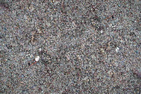 texture of the gray sea sand closeupの写真素材