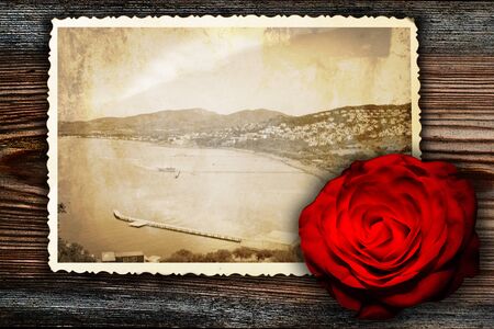 old picture in retro style with red roseの写真素材
