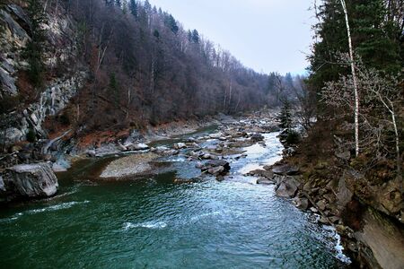 mountain river Prut in the Ukrainian Carpathiansの写真素材