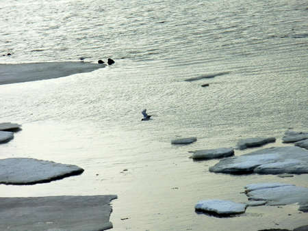 Spring freeze-up in the Kiev Reservoirの写真素材