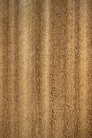 Texture of light beige wooden surface close upの写真素材
