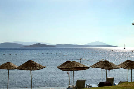 beach umbrellas on the sea coastの写真素材
