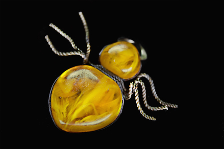 amber brooch in the form of a spider on a black backgroundの写真素材