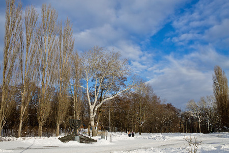 winter snow-covered park with blue skyの写真素材