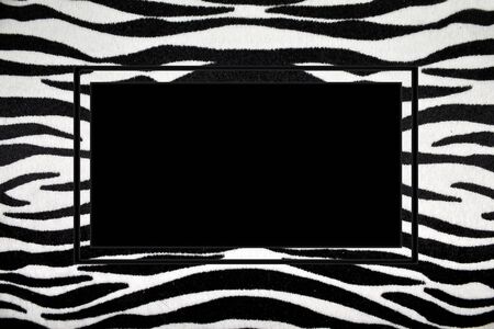 black and white frame with zebra stripesの写真素材