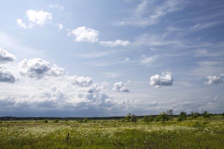 summer country landscape with the beautiful cloudy skyの写真素材