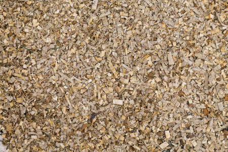 background of scattered wood sawdust closeupの写真素材
