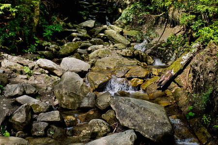 mountain river Zhenets in the Ukrainian Carpathiansの写真素材