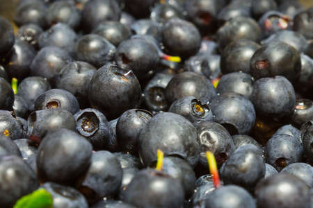 background sprinkled ripe blueberries close upの写真素材