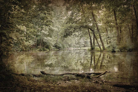 the image of the forest lake in vintage processingの写真素材