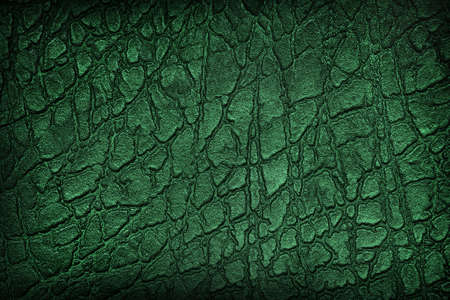 background with green textured leather surface closeupの写真素材
