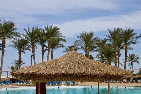 tropical resort with palm trees against the skyの写真素材