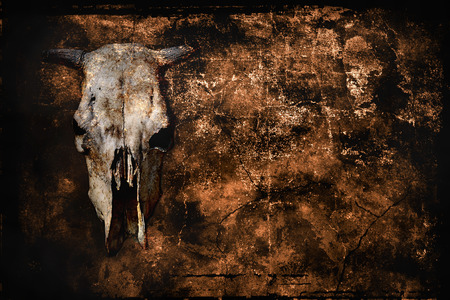 gloomy grunge background with cow skull and copy spaceの写真素材