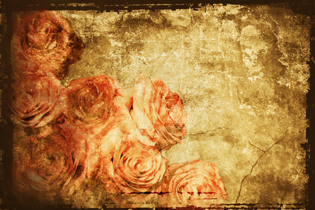 Beige vintage background with roses closeupの写真素材