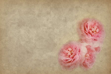 Vintage background with roses in pastel colorsの写真素材