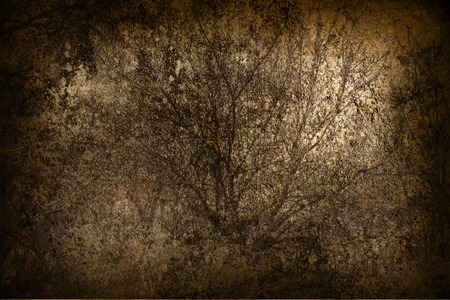 gray grunge vintage background with landscapeの写真素材