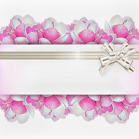 square white background with pink magnolia flowers and white bowの写真素材