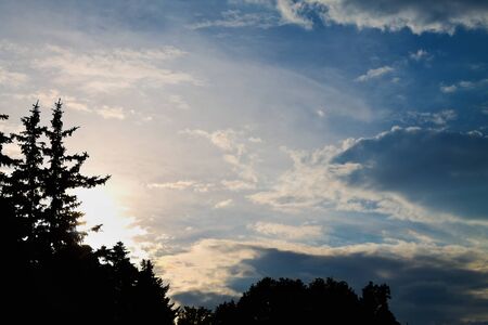 beautiful sunset sky with clouds and silhouettes of spruce treesの写真素材
