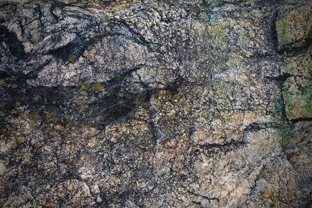 texture of granite stone covered with moss closeupの写真素材