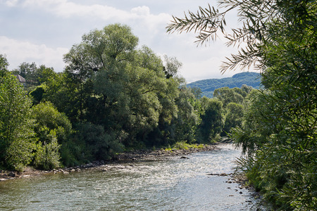 Latoritsa mountain river in the Ukrainian Carpathiansの写真素材