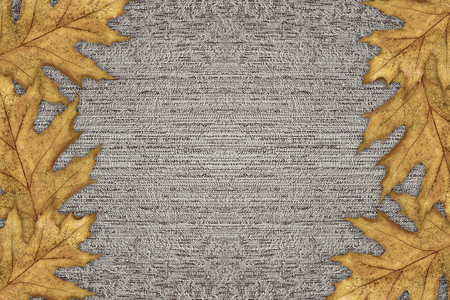 beige background with a border of yellow autumn leaves closeupの写真素材