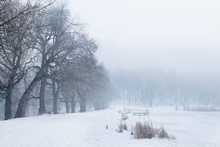 foggy winter day. Trees on the shore of the snow-covered frozen lake.の写真素材