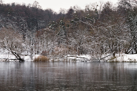 winter forest lake with a coast, overgrown with snow-covered treesの写真素材