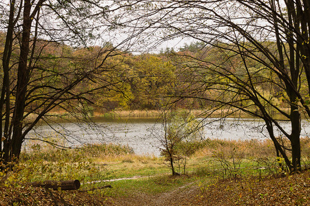 autumn landscape with bare trees on the shore of the lakeの写真素材
