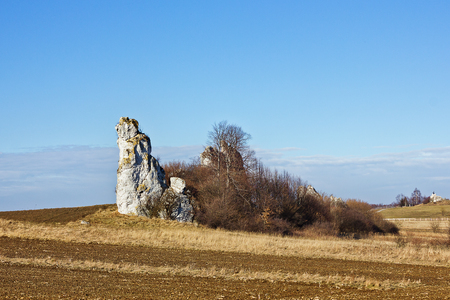 spring landscape with a rock and fieldsの写真素材