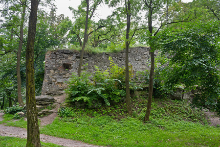ruins of the old castle in the Lviv park among the trees. Lviv, Ukraine, Europe.の写真素材